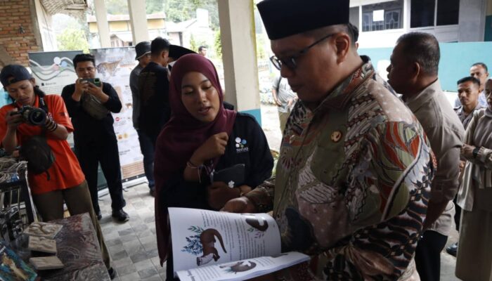 Departemen Biologi UNP Temukan Fauna Unik “Kelinci Belang” di Hutan Kawasan Nagari Singgalang, Tanah Datar