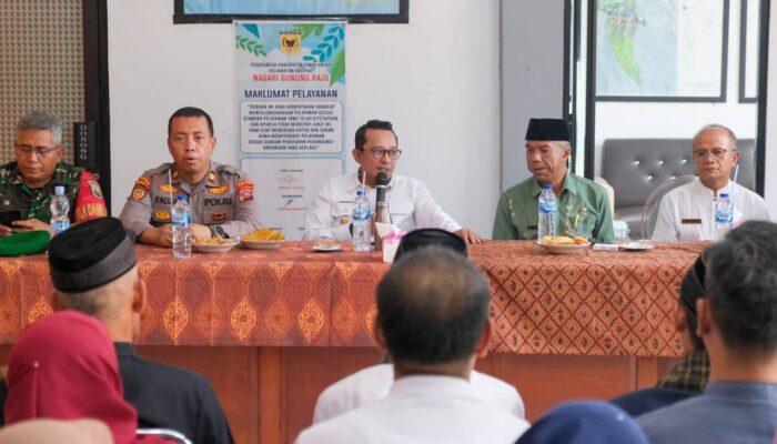 Bupati Tanah Datar Tinjau Lahan Bawang Merah Ketahanan Pangan Milik Kelompok Tani Nagari Gunung Rajo