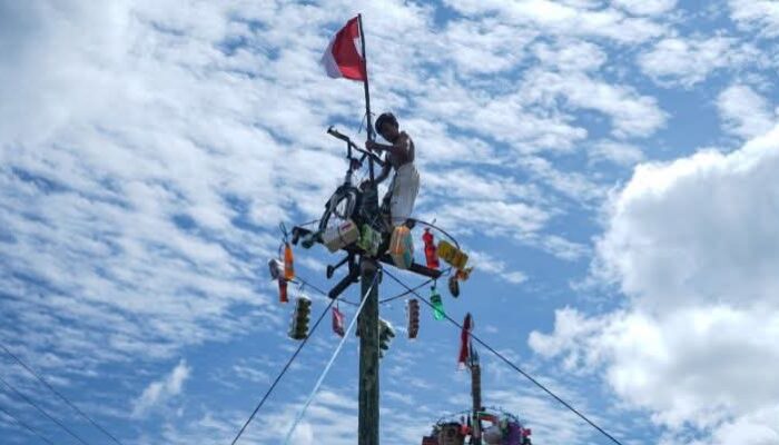 Minim Edukasi dan Dinilai Membahayakan, Bupati Tanah Datar Imbau Masyarakatnya Tak Gelar Lomba Panjat Pinang