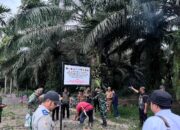 Satgas PKH Gelar Operasi Tertibkan Hutan di Kabupaten Pasaman