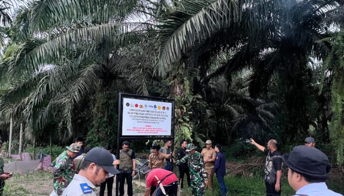 Satgas PKH Gelar Operasi Tertibkan Hutan di Kabupaten Pasaman