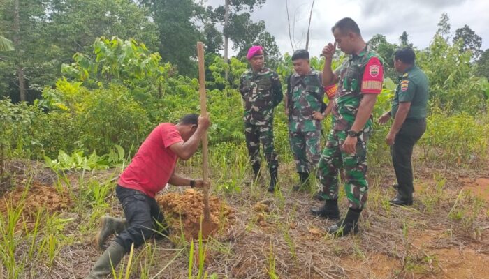 Satgas PKH dan Kejati Sumbar Tertibkan Taman  Wisata Alam di Kepulauan Mentawai
