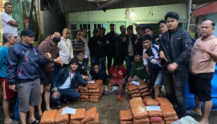 BNNP Sumbar Gagalkan Pengiriman 100 Paket Ganja Kering Lewat Darat
