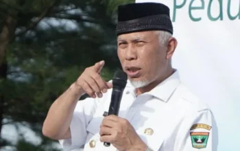 Percepat Pembangunan, Gubernur Sumbar Berharap TKD tidak Diefisiensikan